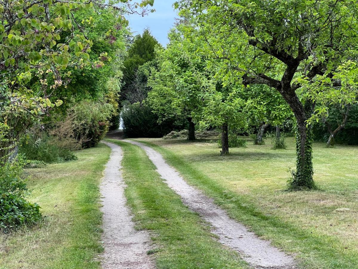 Les Jardins De L'Hermitage Cellettes  Eksteriør bilde