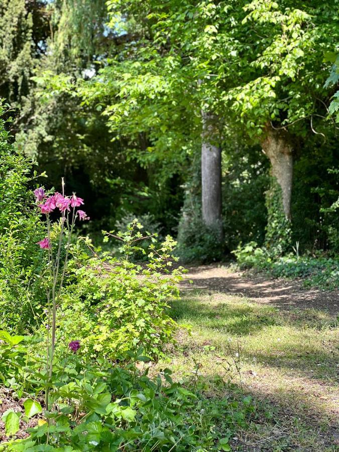 Les Jardins De L'Hermitage Cellettes  Eksteriør bilde